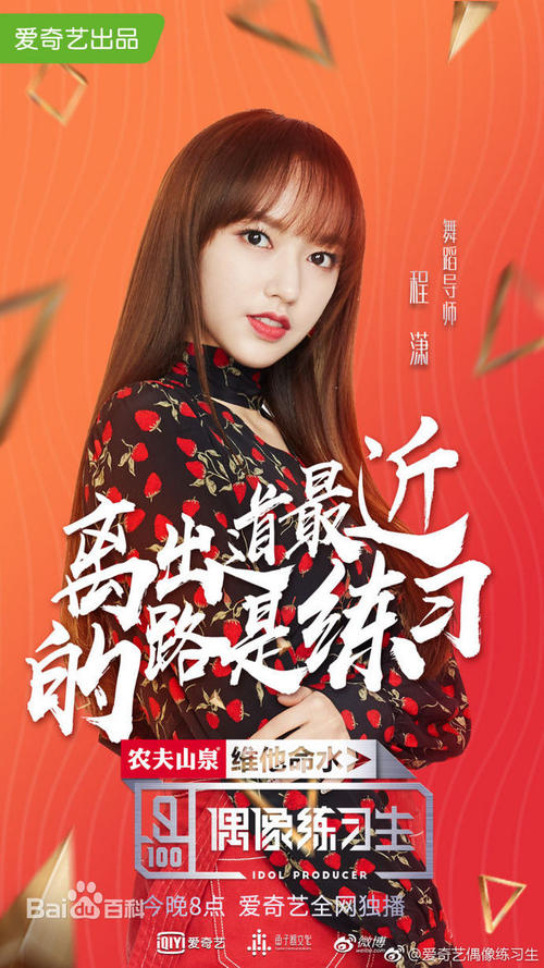 特鲁瓦科技大学会计文凭证书